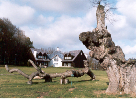 O�rodek szkoleniowy ZUS w Osuchowie